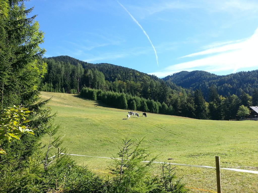 Apartments Balon Kranjska Gora Ngoại thất bức ảnh